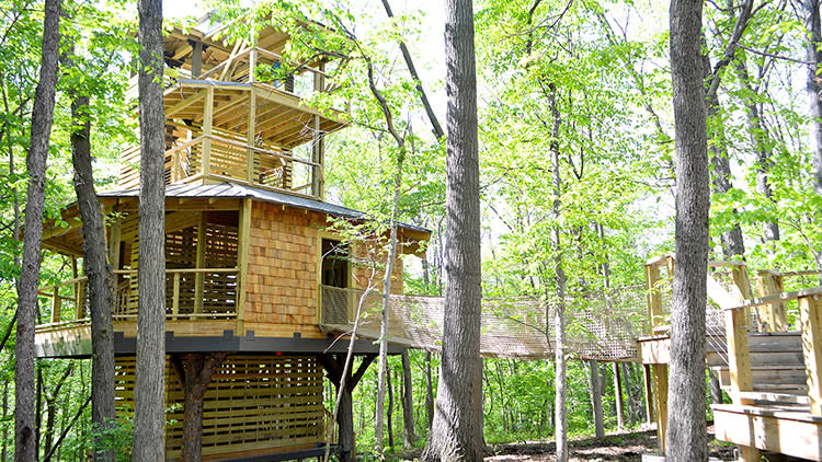 Treetop Outpost