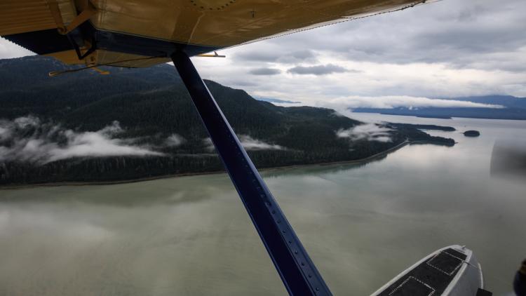 Plane Eye View