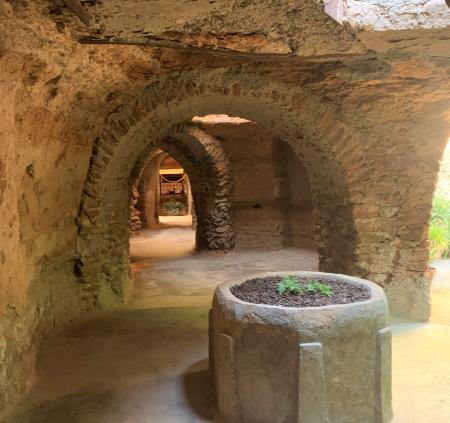tunnel hall forestiere friday