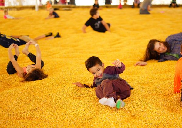 Corn seed pit and kids