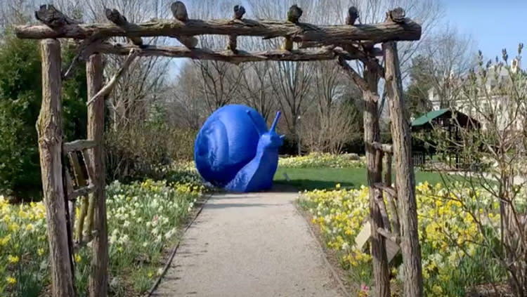 Larger-than-life blue snail in the biergarten at newfields