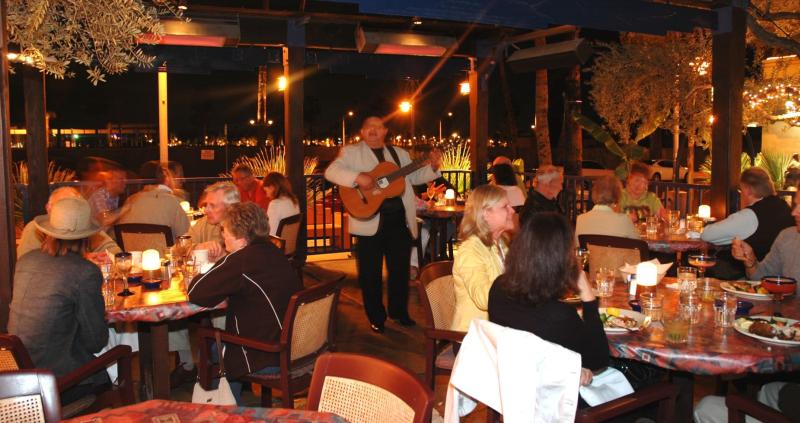 blue coyote with guitar