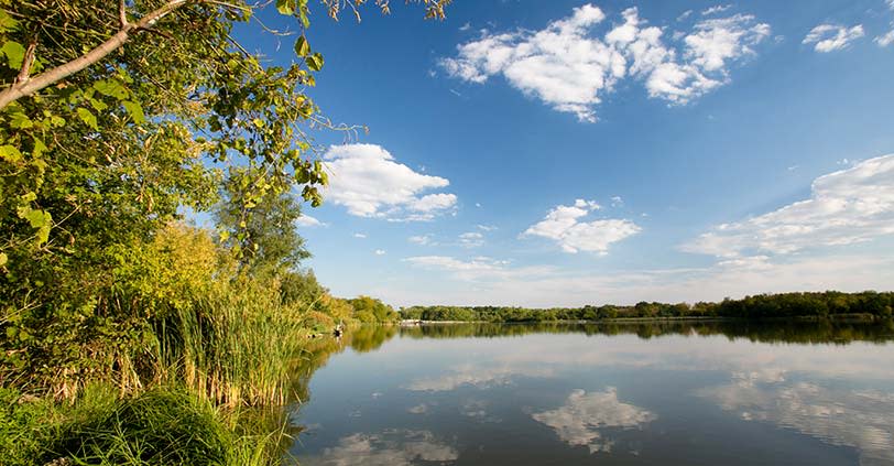 The calm and sunny landscape of Busse Woods, a large lake and greenery rich shores