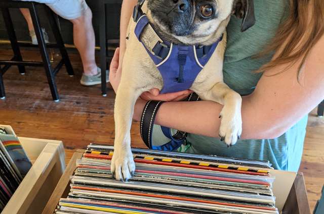 Winston the Pub browsing records