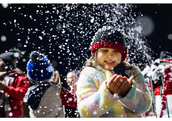 Merry & Bright Night