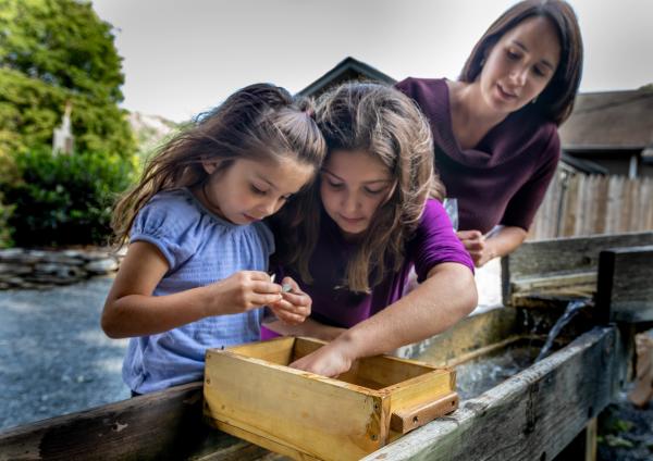 Echo Dell Gem Mining