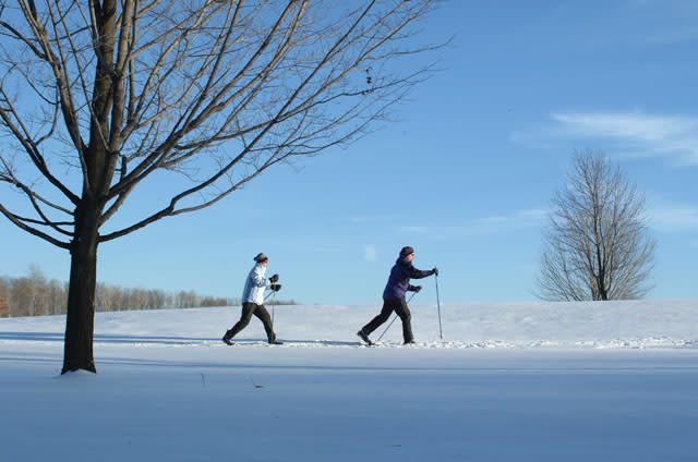 Cross-Country Skiing