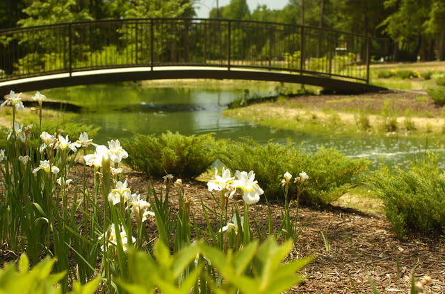 Beth Schmidt Park