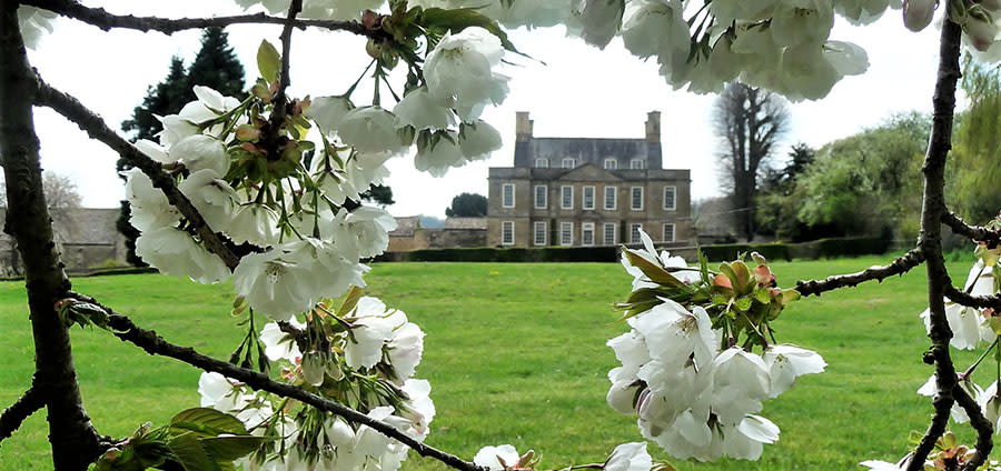 Bourton House Garden