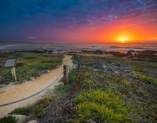 Posts By Kimber Tabscott Blog Monterey