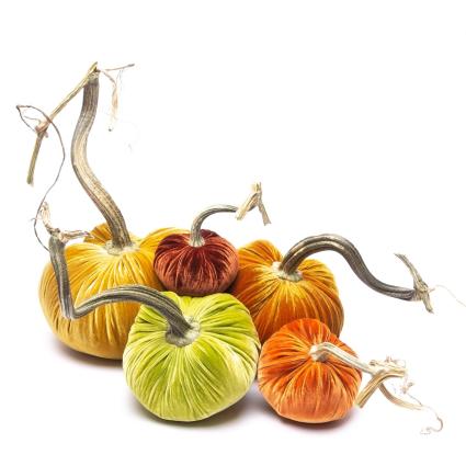 Silk Velvet Pumpkins