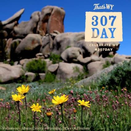 307 Day Albany County