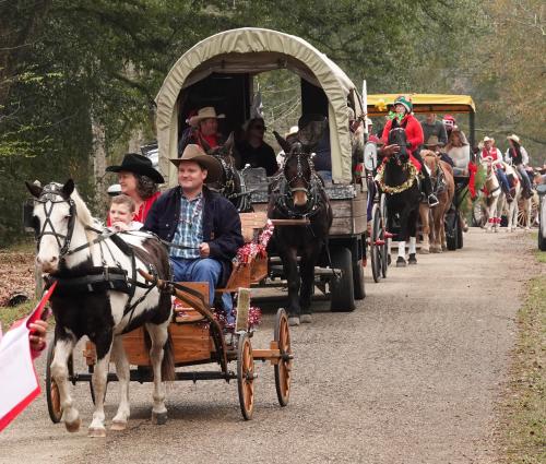 Folsom Horse and Wagon Christmas Parade