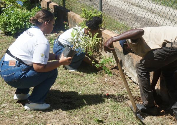 JTB Labour Day Project -Tree Planting