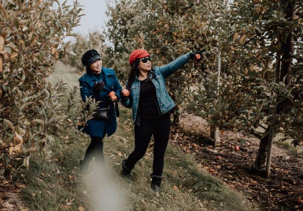 two women apple picking