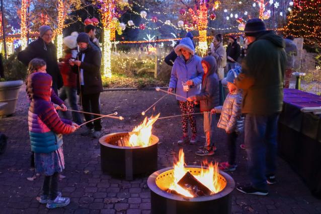 Winter Wonderlights