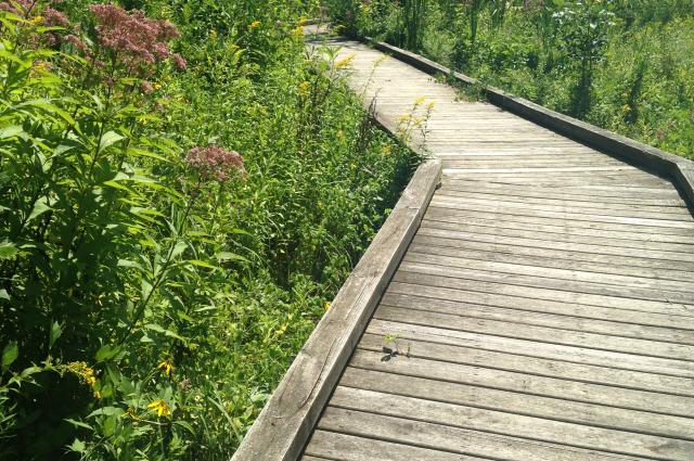 Kiwanis Riverway Park Boardwalk