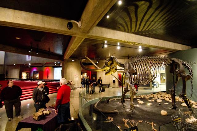 Ohio History Center Mastodon