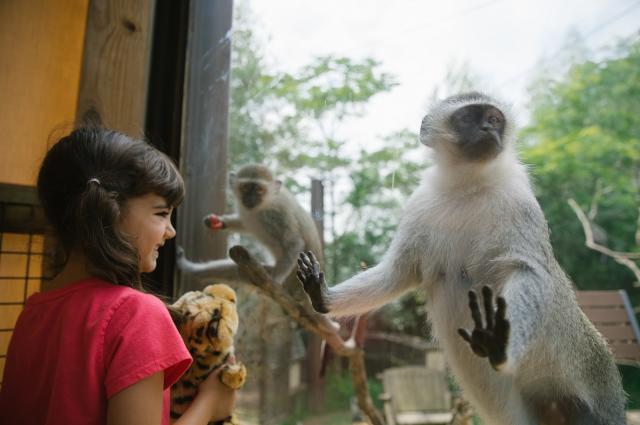 Primate Exhibit - Columbus Zoo