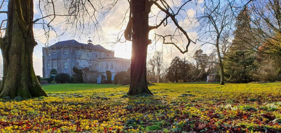 Christmas at Newark Park