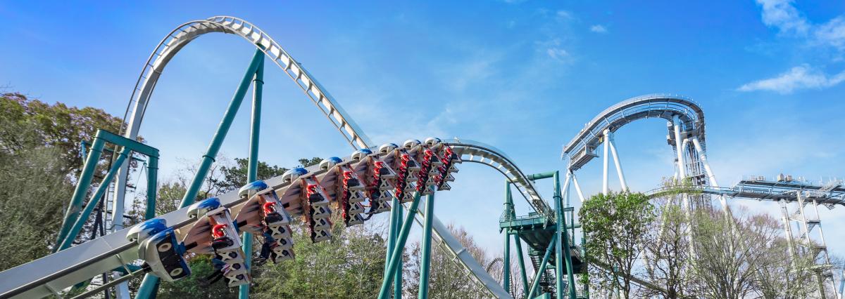 Busch Gardens Roller Coaster