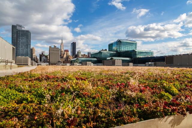 Javits Center, Roof, Green Roof