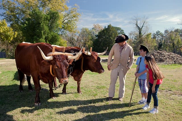 Colonial Williamsburg Spring Homeschool Days