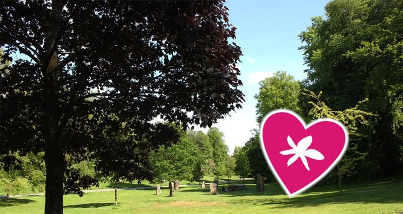 Singleton Park