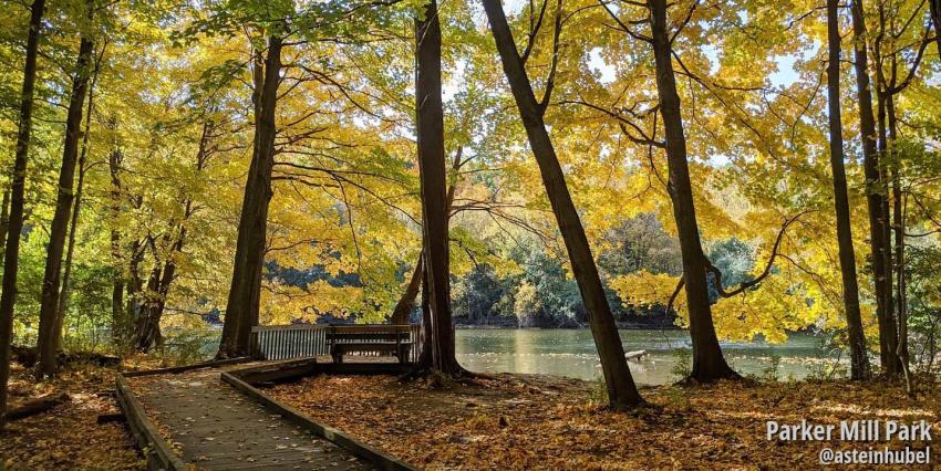 parker mill county park