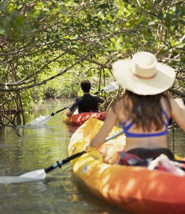 Couple paddling through mangrove tunnel