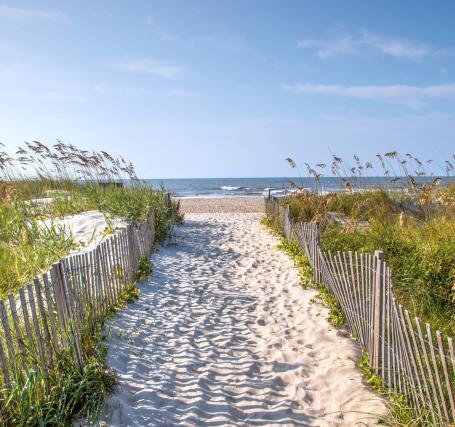 Beach Path