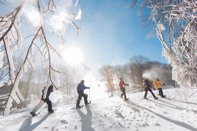 A group of five can be seen on a snowy hillside hiking with snowshoes.