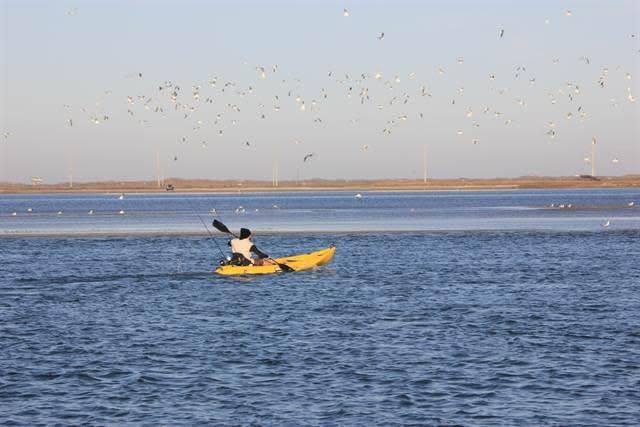 coastal bend kayak