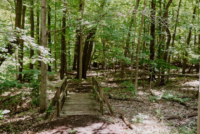 Images of the landscape and wildlife experiences hosted at the Blandford Nature Center, 2023