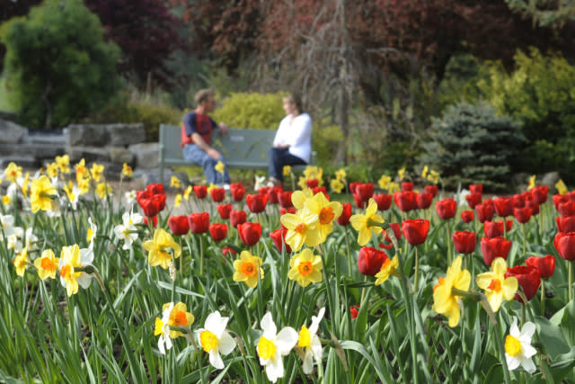Southside Park couple on bench