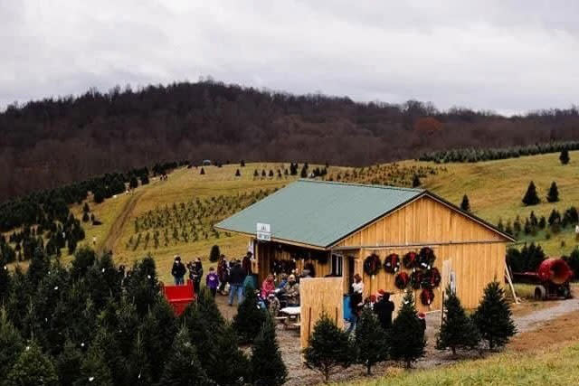 Shop at Christmas Tree Farm