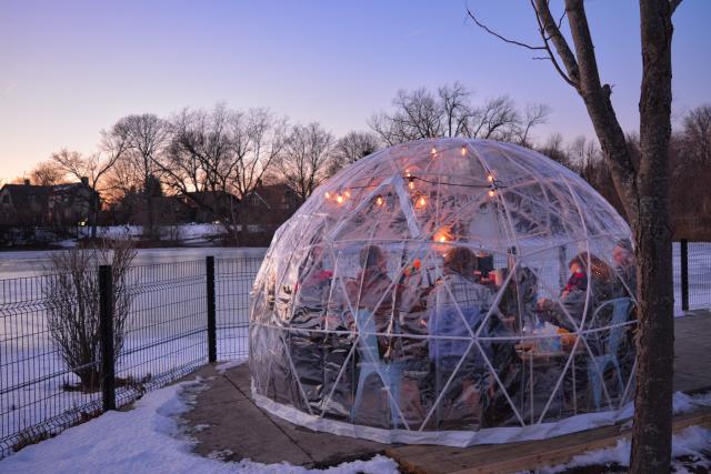 Winter Snowglobe Zoo 2