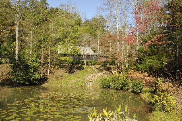 Mountain Cabin Rental