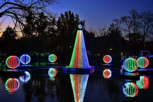 Spheres and a Christmas tree made of lights glowing over a lake at the Cincinnati Zoo