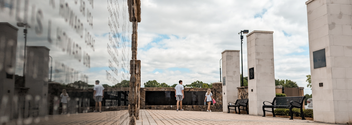 Veterans Park landscape