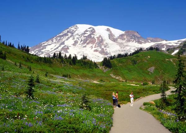 skyline trail mt rainier