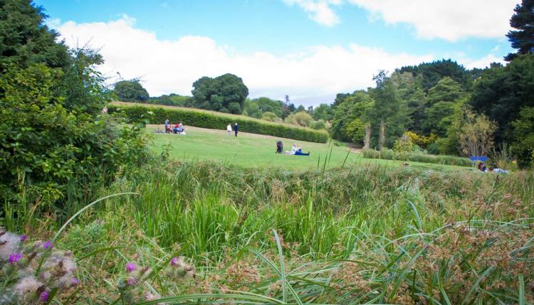 Summer Stays at the University of Exeter