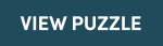 View Puzzle Call to Action Button