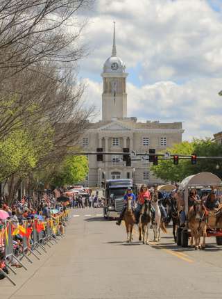 Mule Day Parade