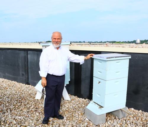 Mark and Bees on Grand Roof