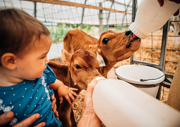 Children At Destiny Dairy Bar