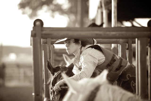A young cowboy during the 2013 Truth or Consequences Fiesta