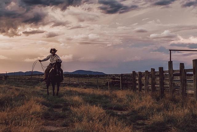 Old West Prairie Dress - Cattle Kate