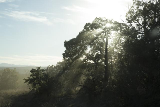 The wild heart of the Gila