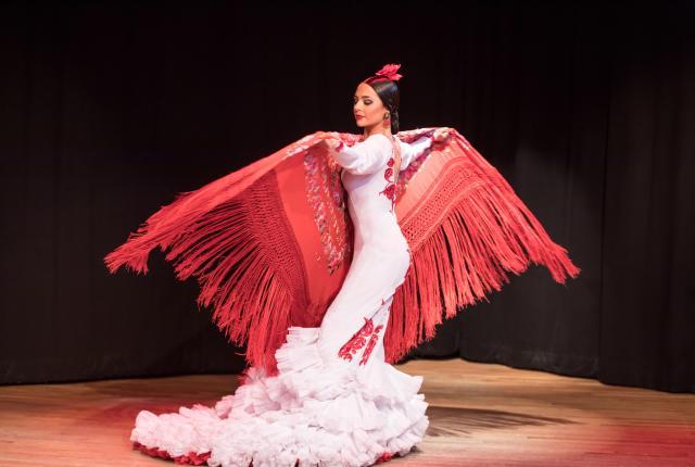 La Emi flamenco